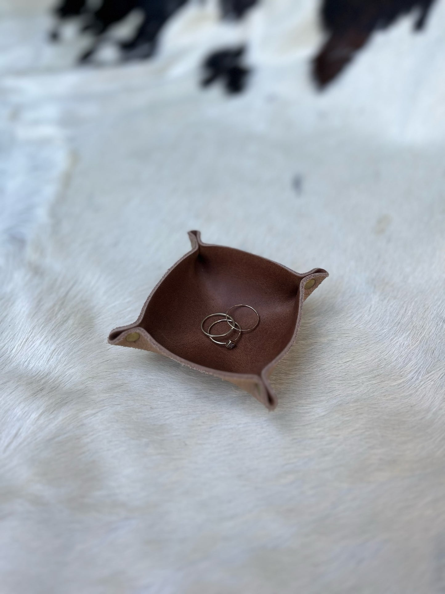 Mini Tray